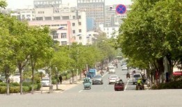 泗阳最新爆料消息今天,揭秘今日热点事件背后的真相