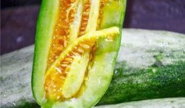 哪里可以吃网红的瓜,揭秘网红们的“瓜田”美食之旅